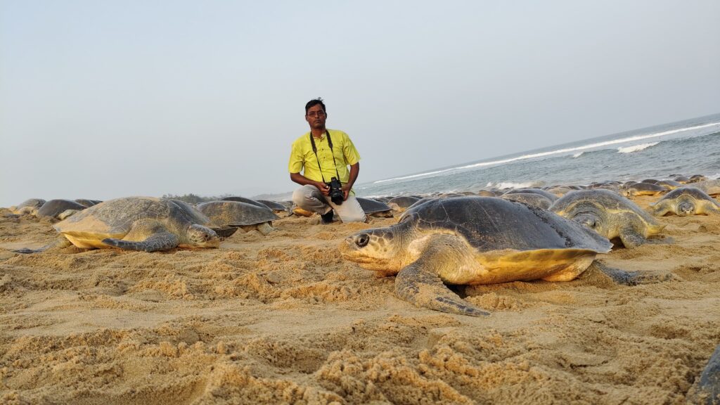 Mr. Sahu with the turtles at Rushikulya Beach